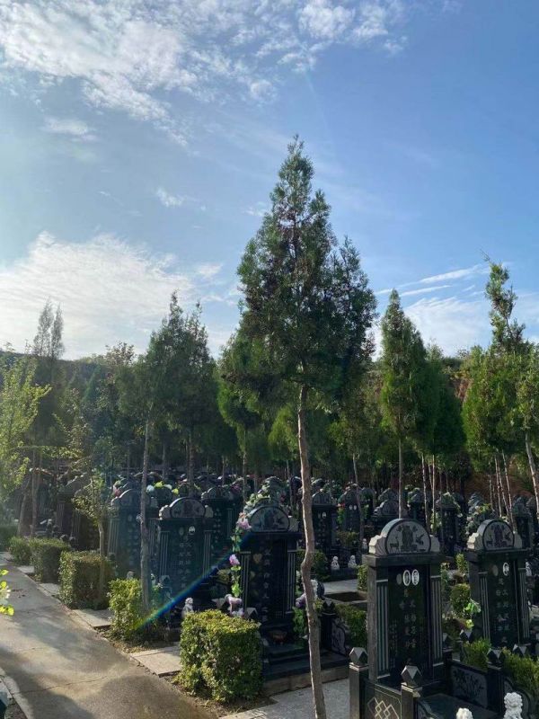 園區景觀